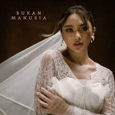 BUKAN MANUSIA