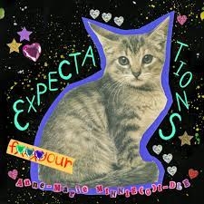 EXPECTATIONS